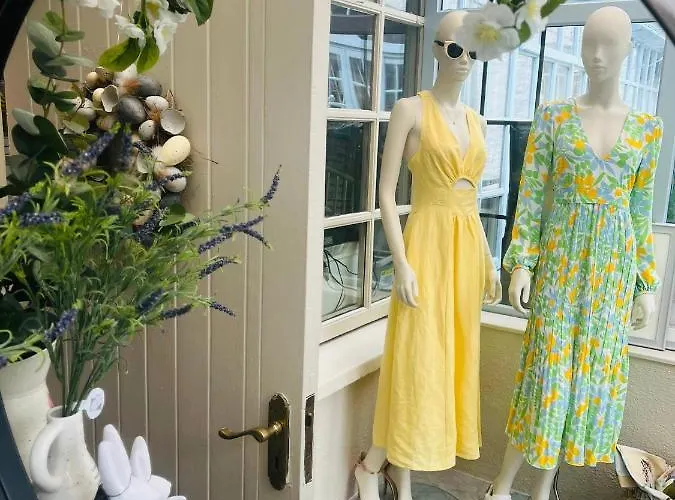 The Stables Townhouse Guest house Birr